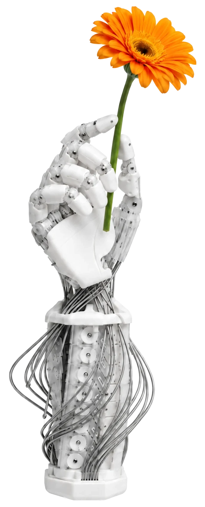 Robotic hand holding an orange flower